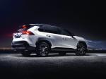 Toyota RAV4 Hybrid Style 2019 года (WW)